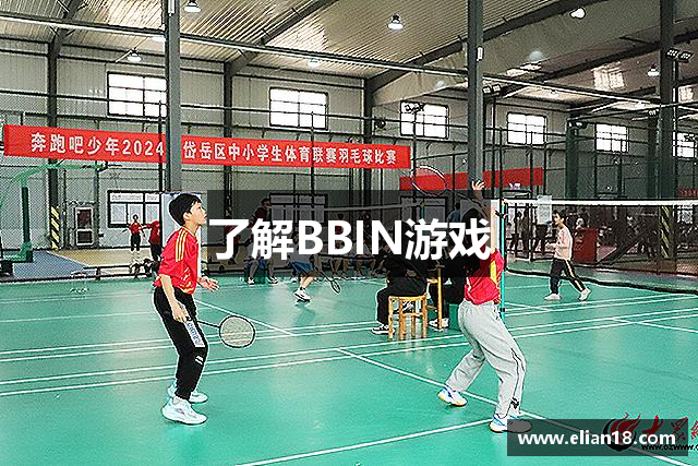 了解BBIN游戏